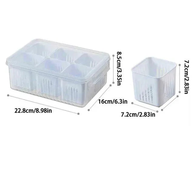 6 Grids Food Storage Container (Masala Storage, Adrak/Lehsan, Vegetables)