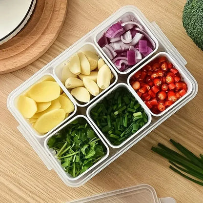 6 Grids Fresh Storage Container (Masala Storage, Adrak/Lehsan, Vegetables)