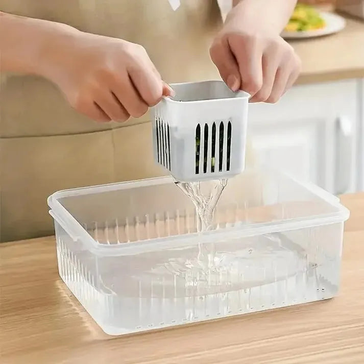 6 Grids Fresh Storage Container (Masala Storage, Adrak/Lehsan, Vegetables)