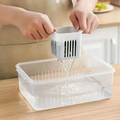 6 Grids Fresh Storage Container (Masala Storage, Adrak/Lehsan, Vegetables)