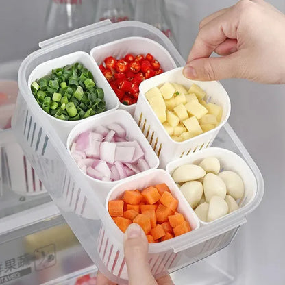 6 Grids Fresh Storage Container (Masala Storage, Adrak/Lehsan, Vegetables)